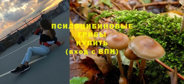 мескалин Нязепетровск