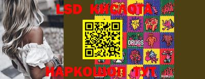 прущие грибы Бийск