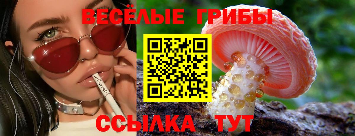 Псилоцибиновые грибы Magic Shrooms Губкинский