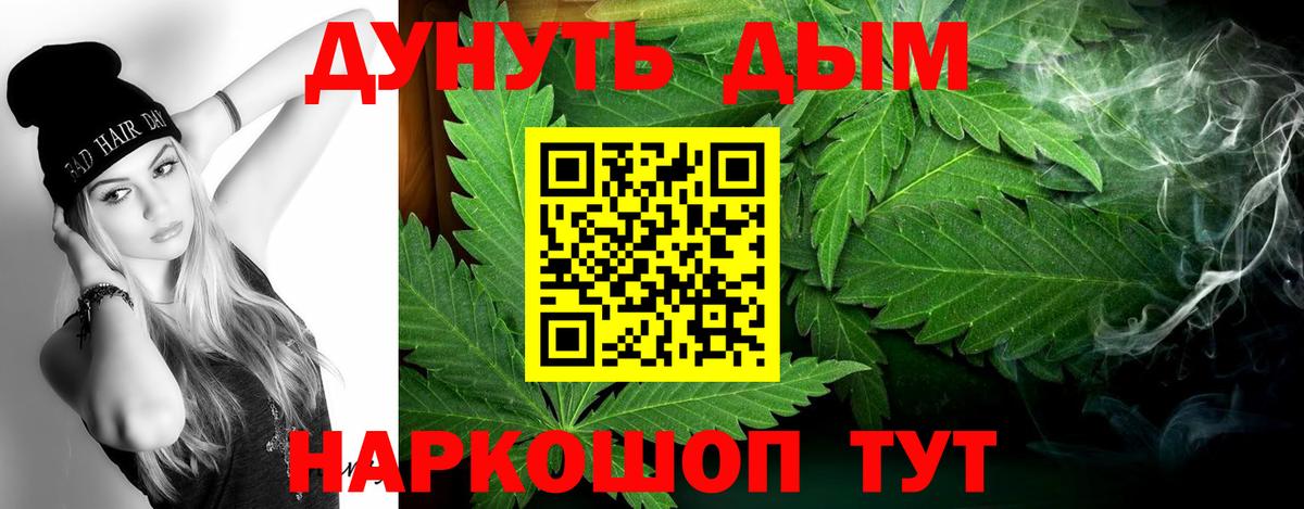 Каннабис индика  Губкинский  Канабис OG Kush 